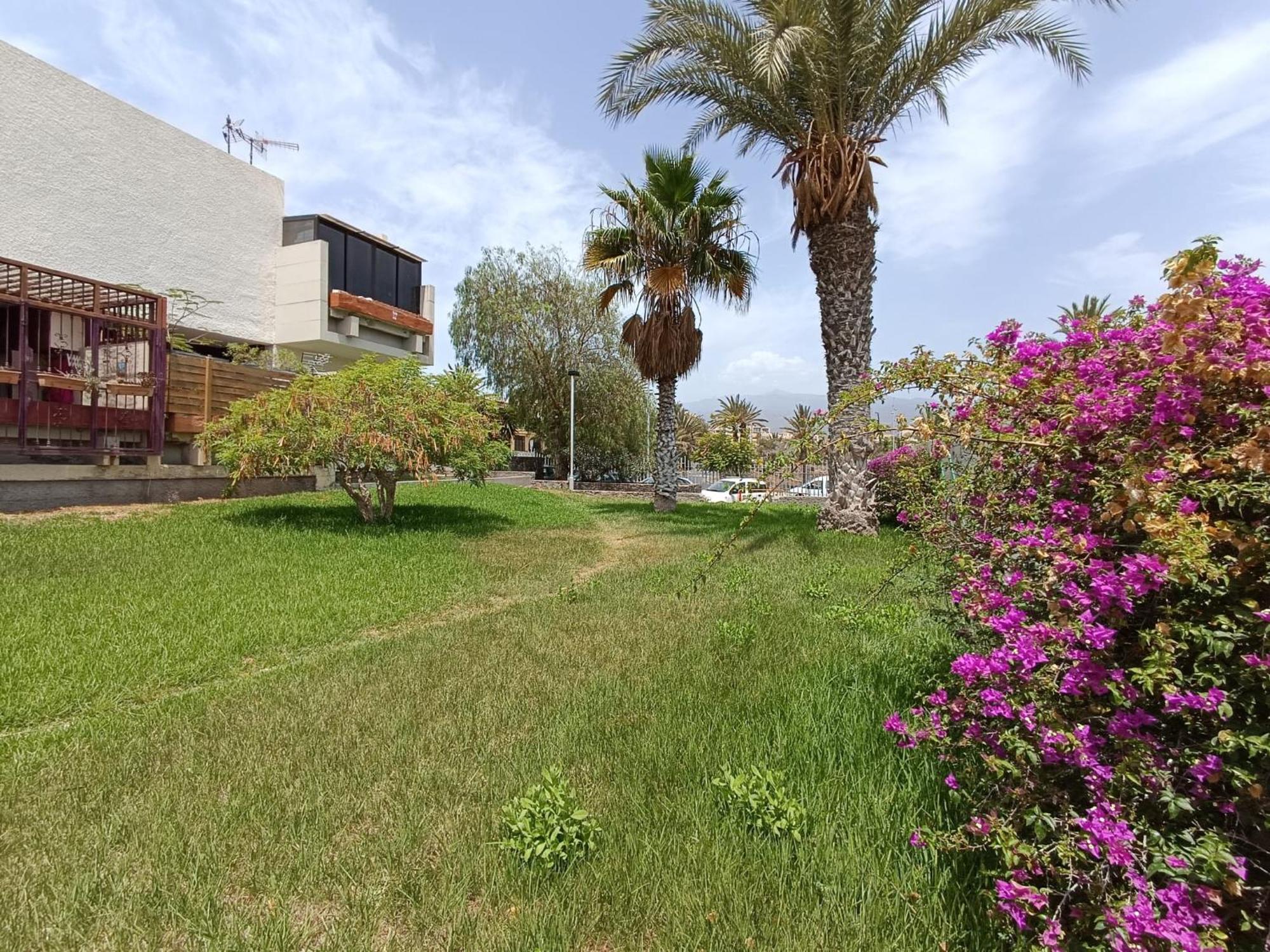 Apartment Tenerife South Coast Costa Del Silencio Ngoại thất bức ảnh